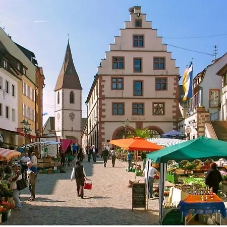 Alexa'S Appartment - Naehe Europa Park Endingen am Kaiserstuhl Extérieur photo